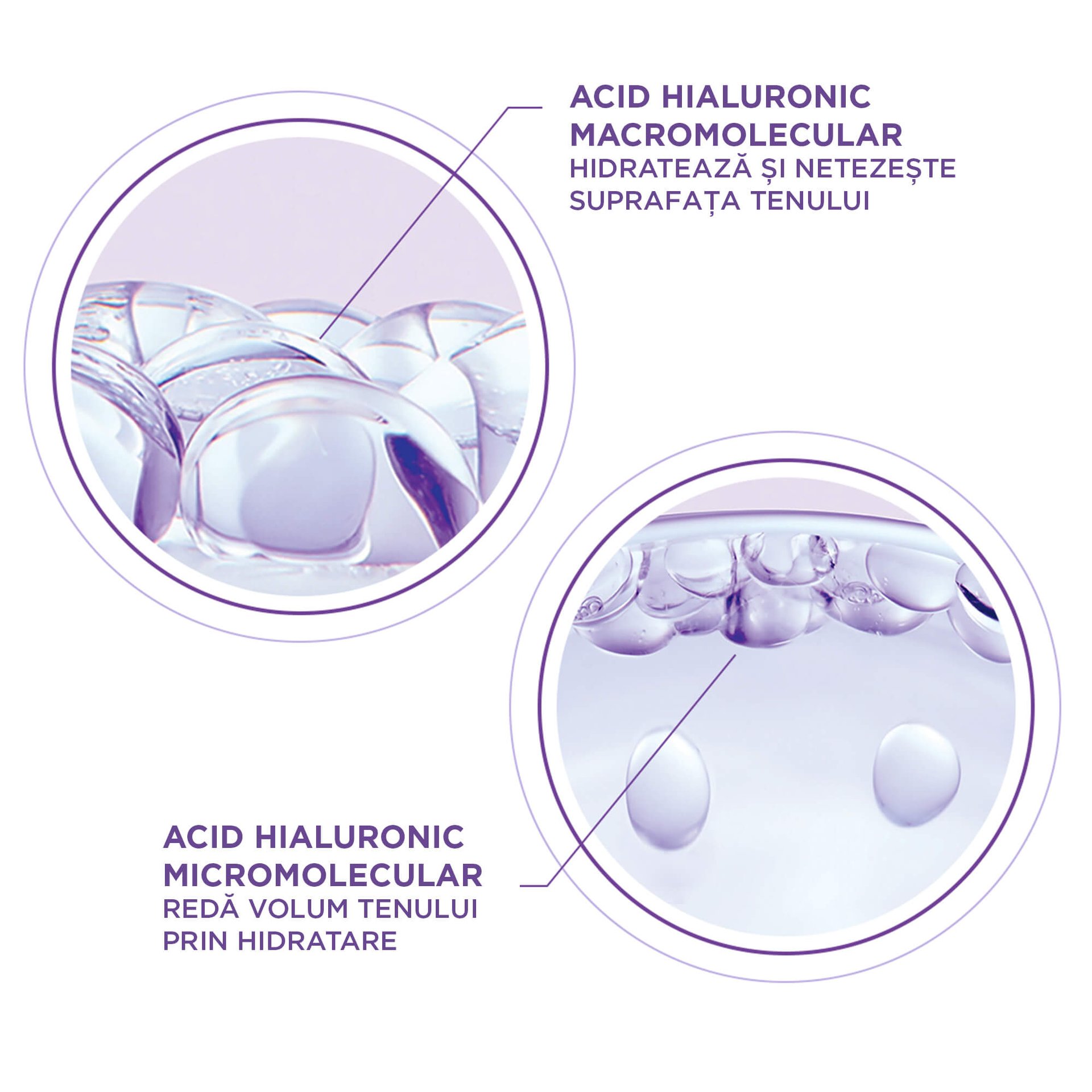 Ingrediente Apa Micelara Hidrantanta Hyaluron Specialist
